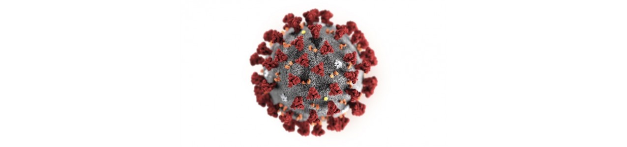 Articulos de protección frente al coronavirus